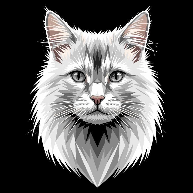 Chat Angora Chat Angora Chat Angora Mignons Chats Angora