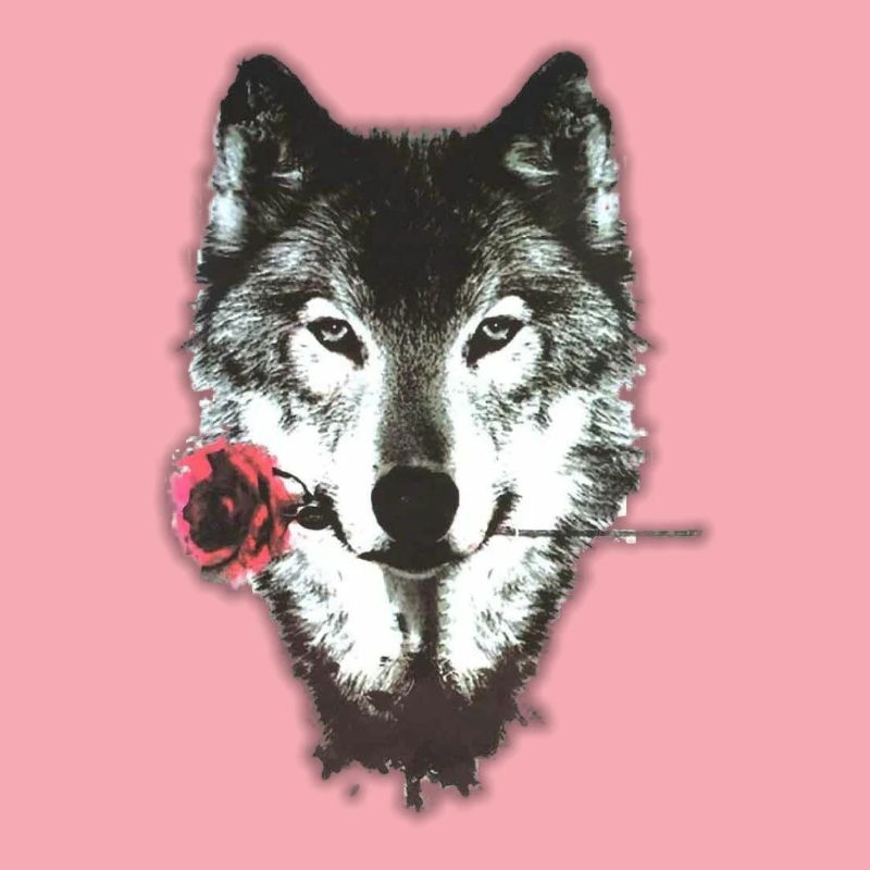 Wolf & Rose