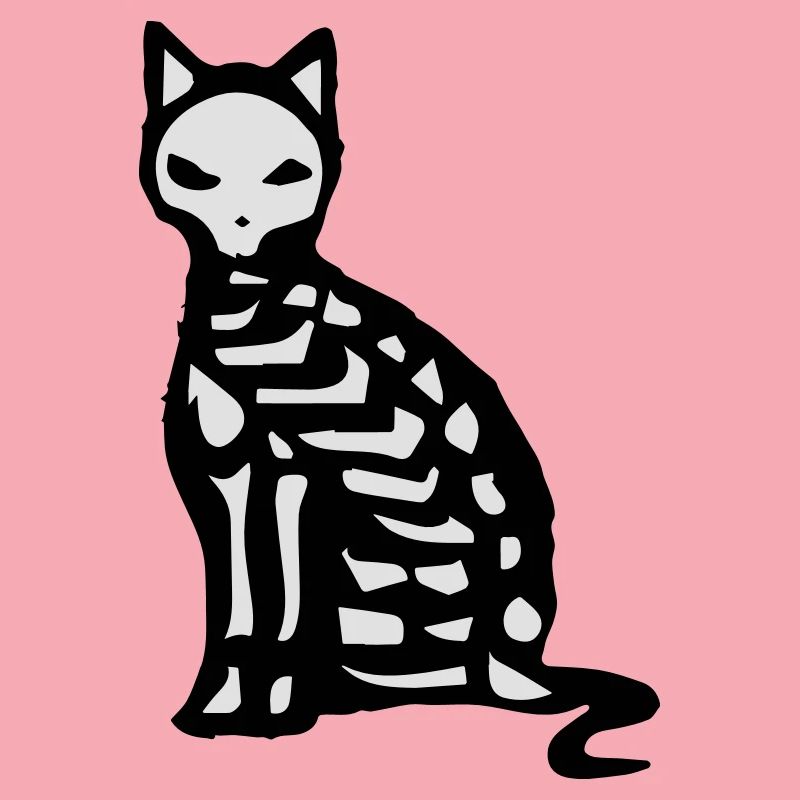 Le squelette et les os d'un chat