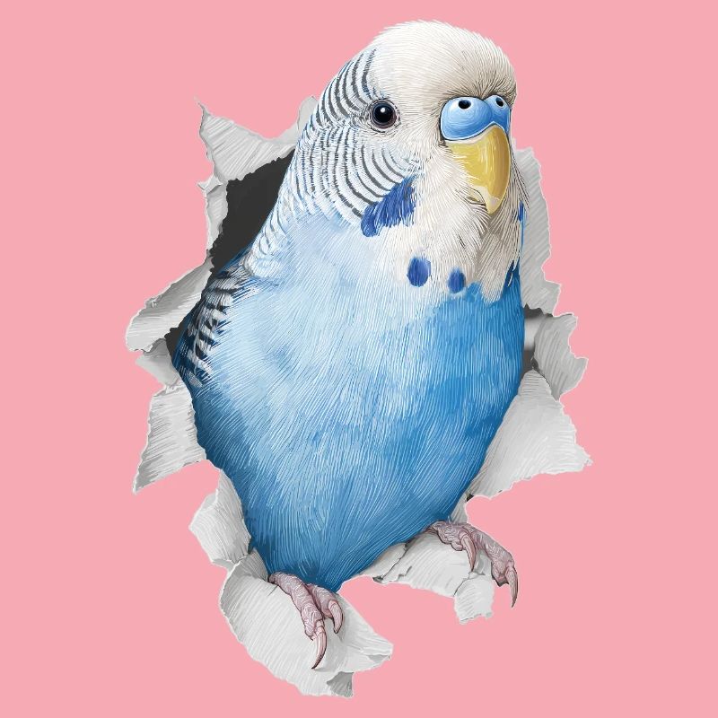 Budgerigar