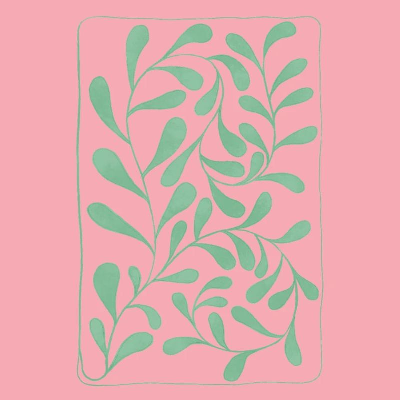Feuilles d’eucalyptus