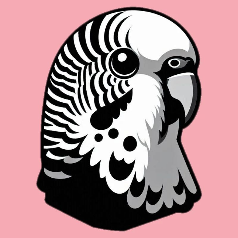 Budgie Canary