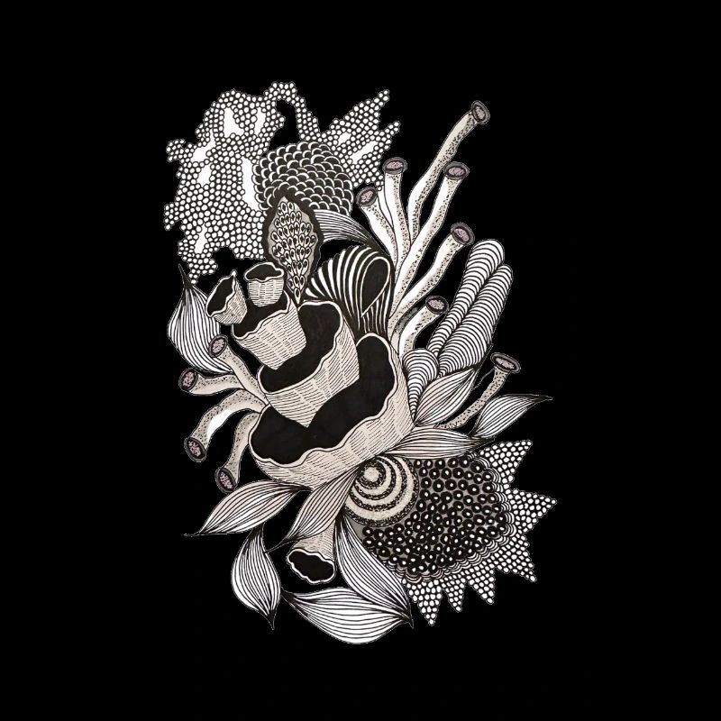 Illustration monochrome de fleurs de panda