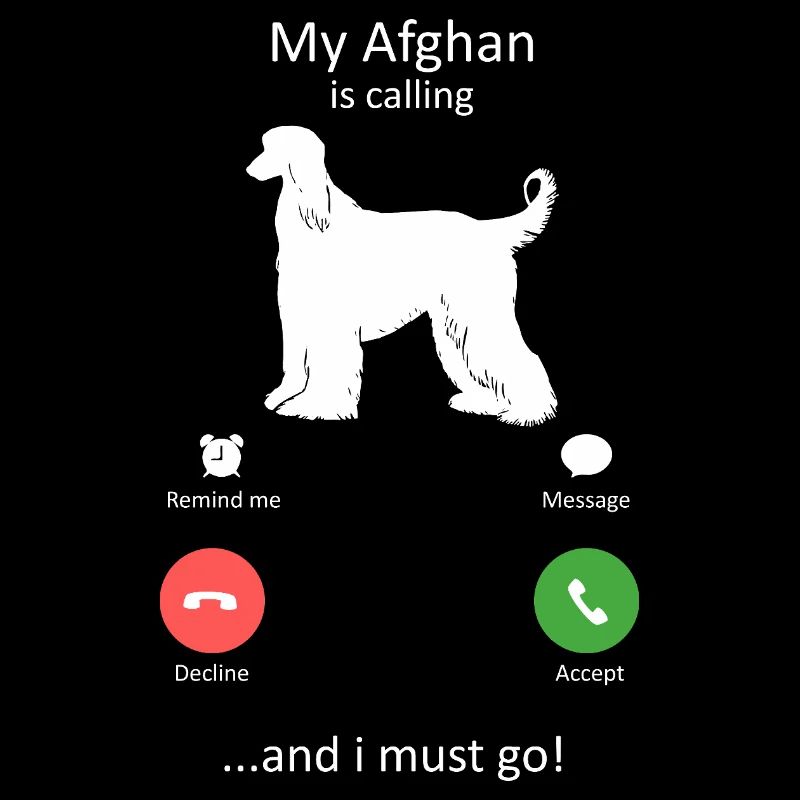 Funny Afghan Hound Is Calling And I Must Go