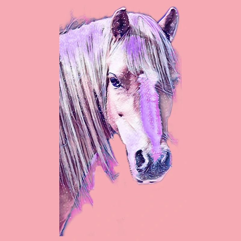 Welsh Pony