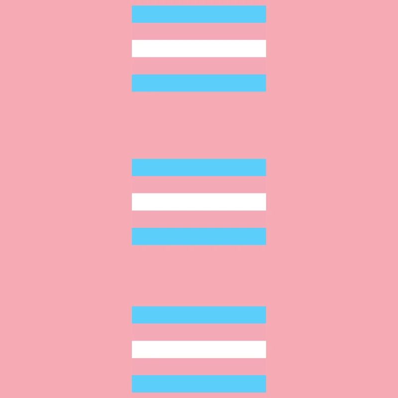 Trans Pride Flags  