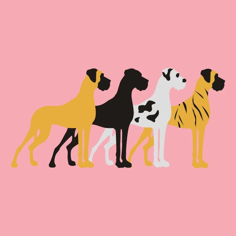 Four basic colors Great Dane