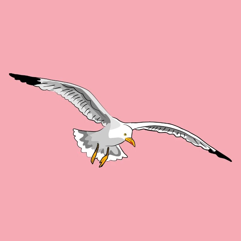 mouette