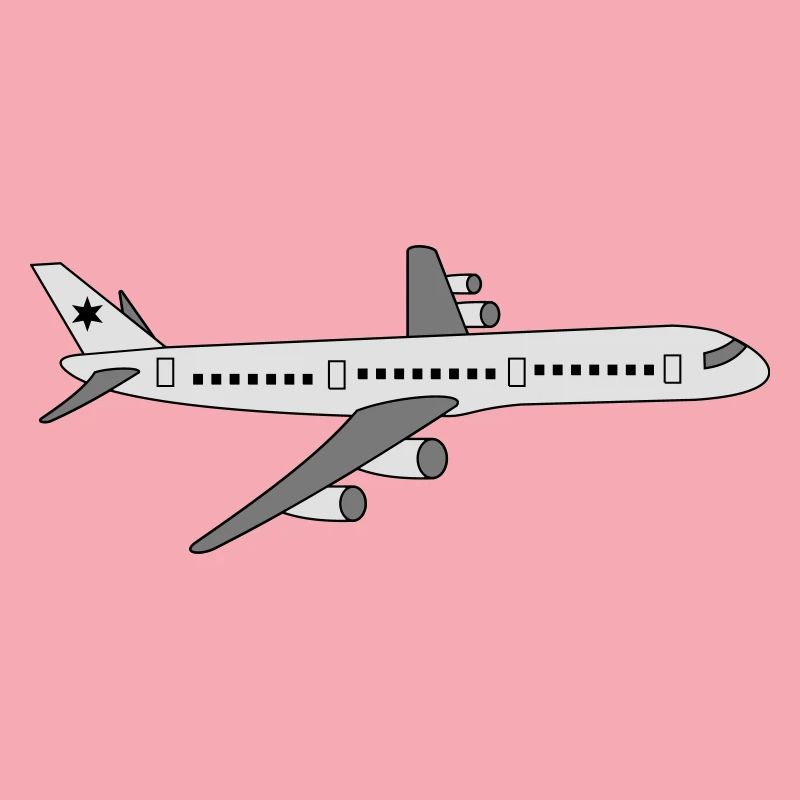 Flugzeug
