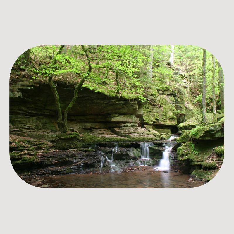 Forêt-Noire Monbach
