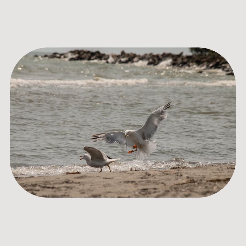 Zwischen Himmel und Meer