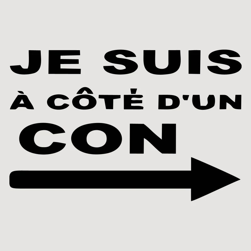 Je Suis À Côté D UN CON