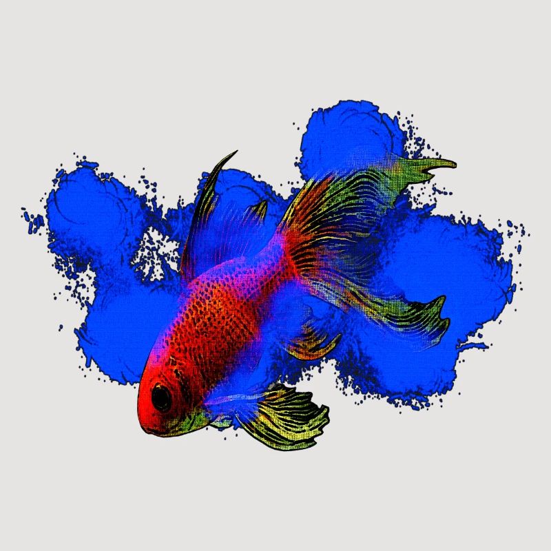 wassertiere, schleierschwanz Goldfisch