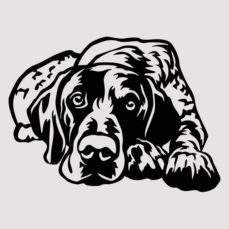 German Shorthaired Pointer