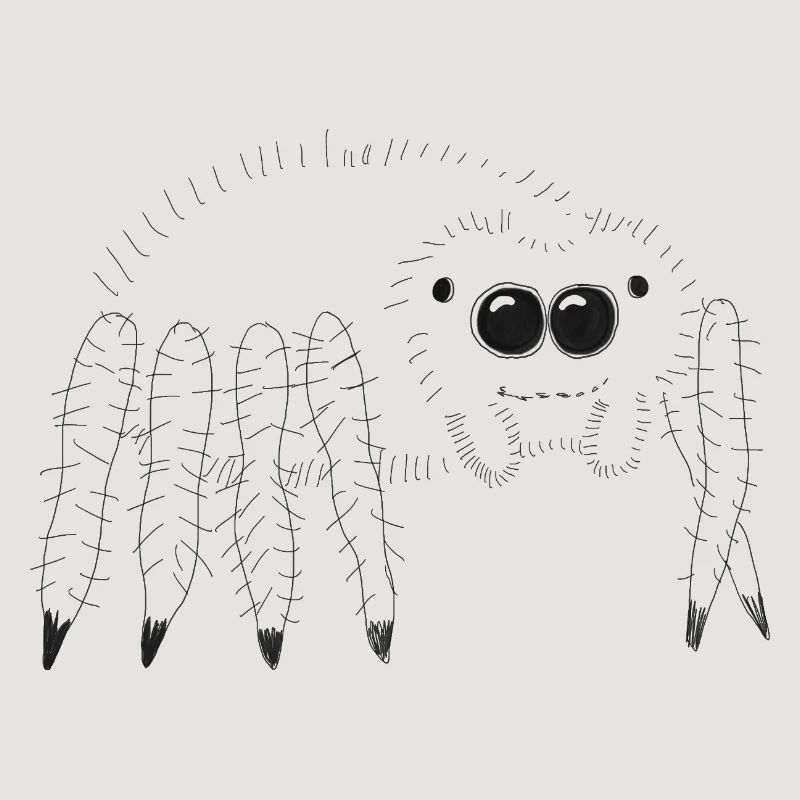 Cuddly spider illustration for the curious