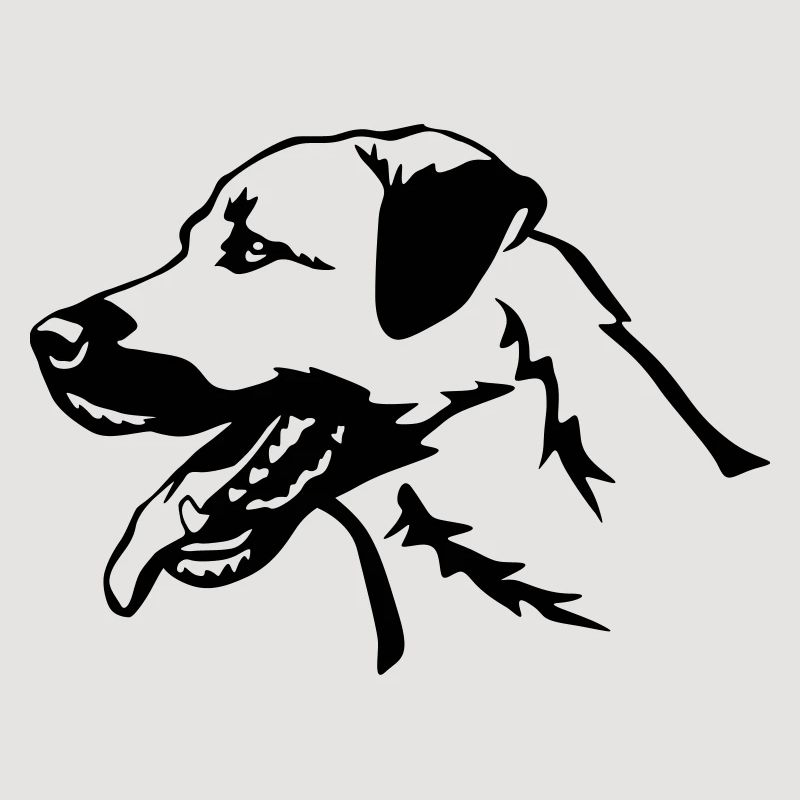 Kangal head