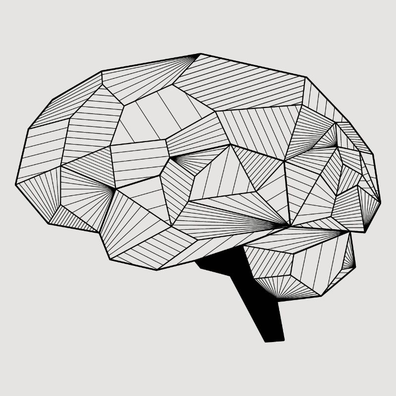 Brain