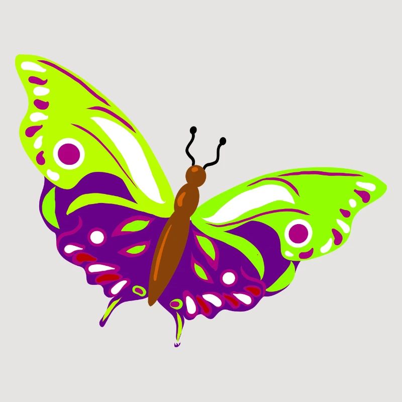 Illustration de papillon multicolore