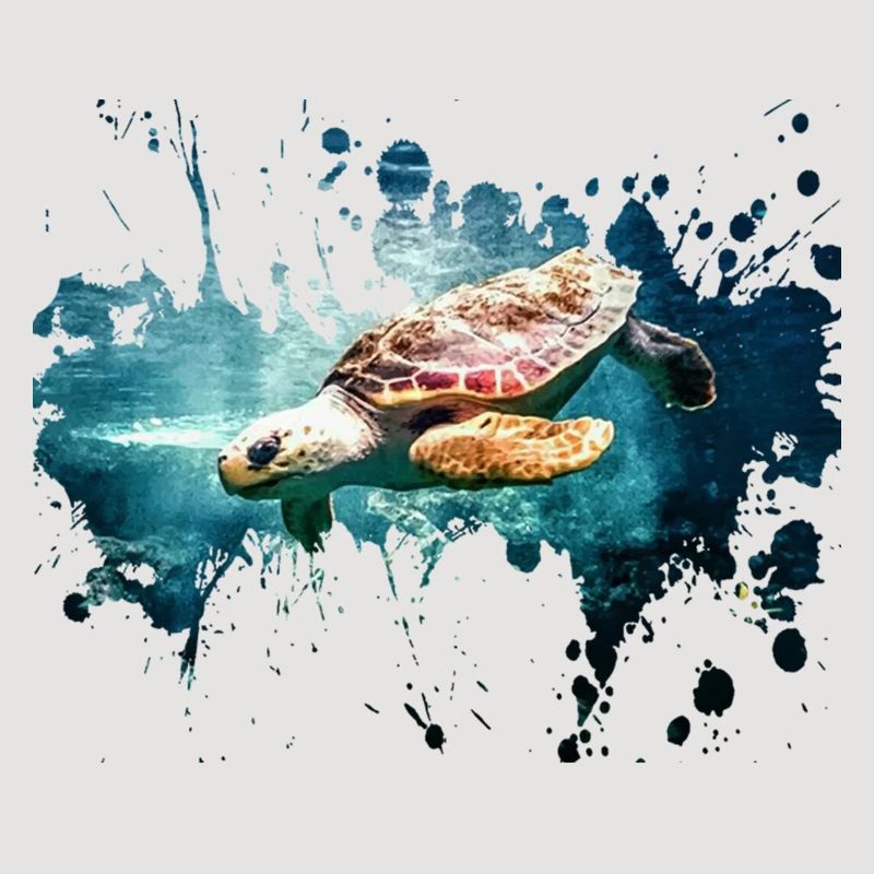 Petcontest turtle