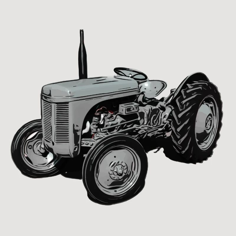 Alter Fergie TE20 Traktor