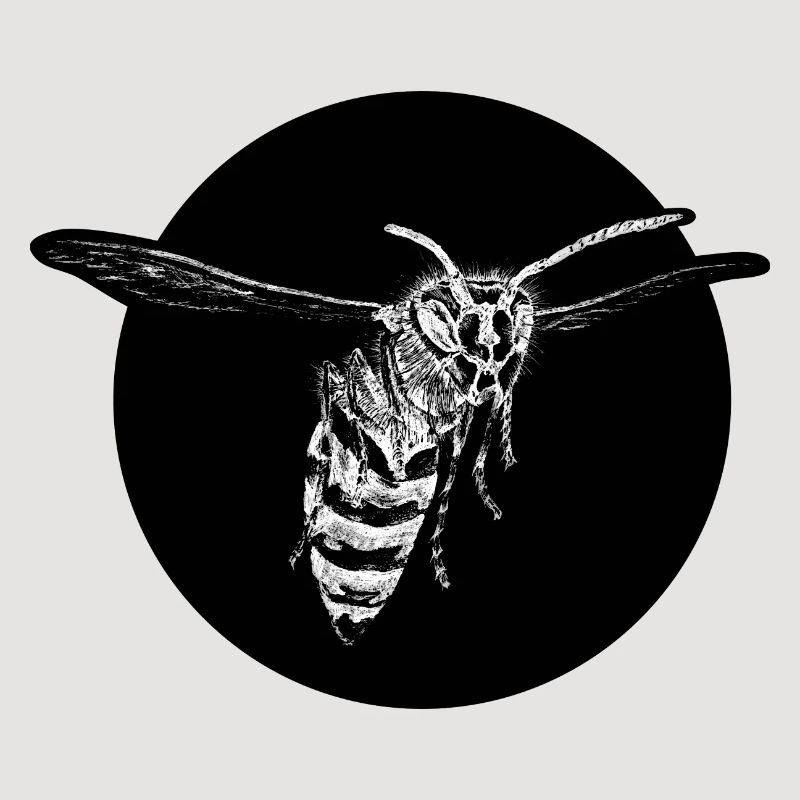 Guêpe - Abeille - Insecte