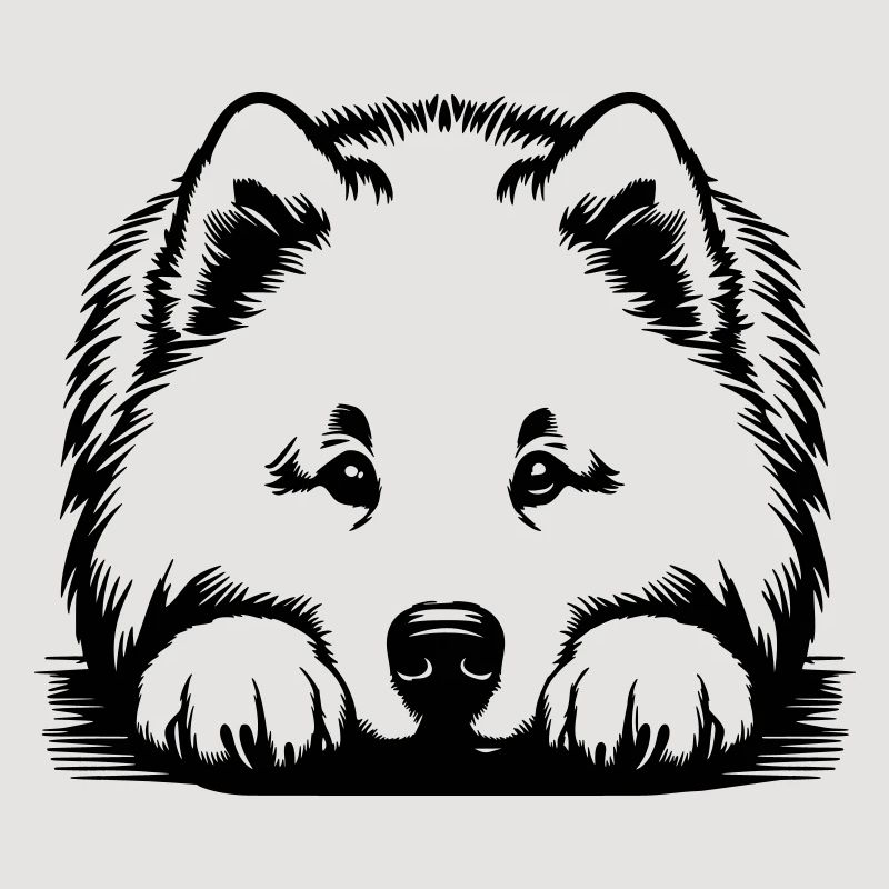 Samoyed head with paws