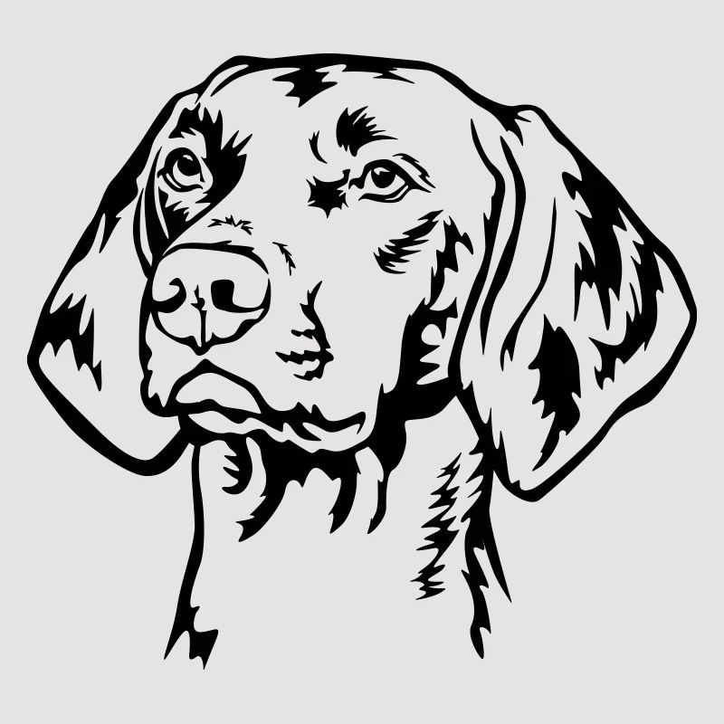 Magyar Vizsla Kopf