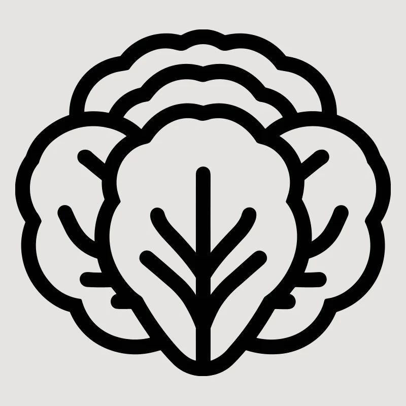 cabbage