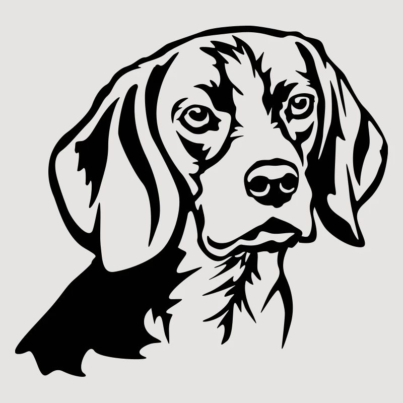 Tête de Beagle
