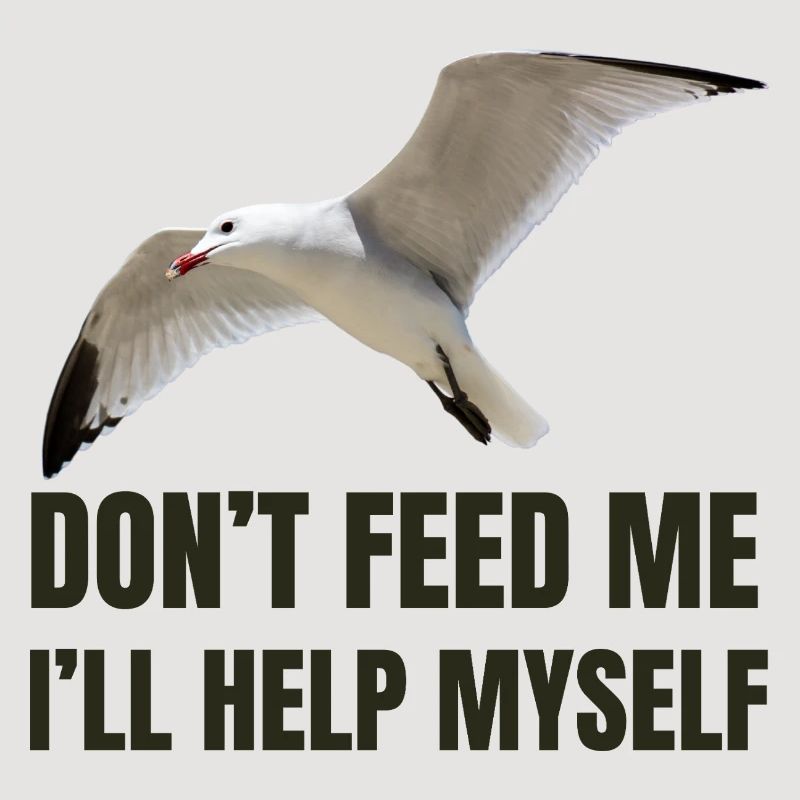 Möwe mit mutigem Statement