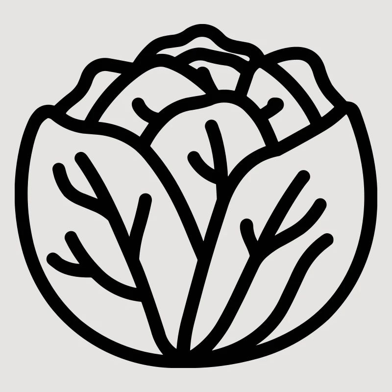 cabbage