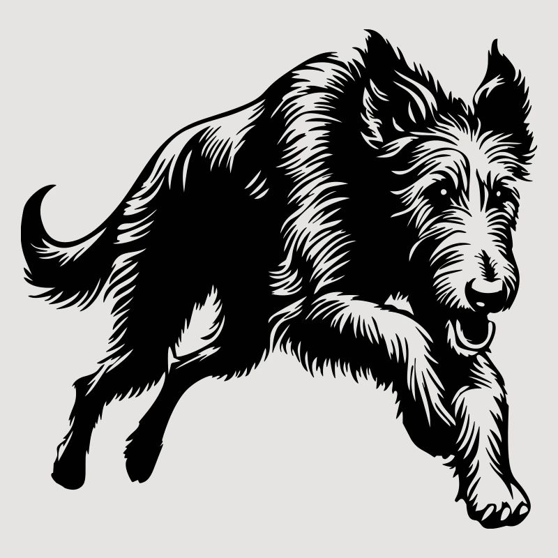 Irish Wolfhound