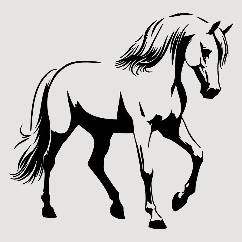 Pferd Araber