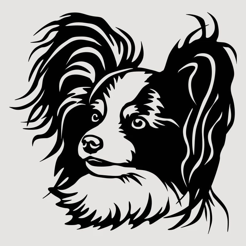 Papillon Kopf