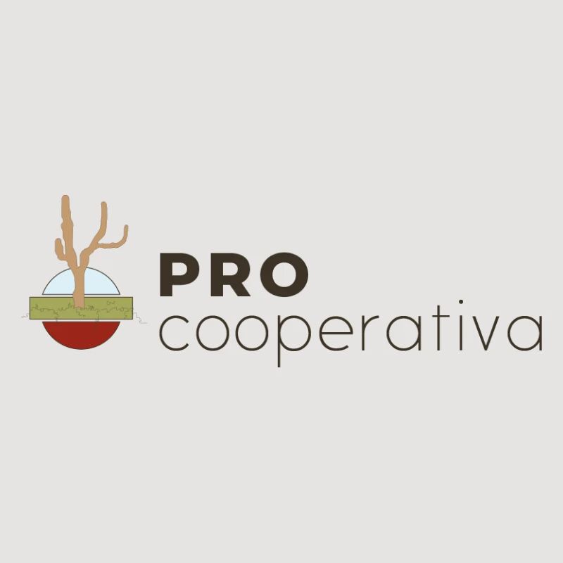 PRO_CAST