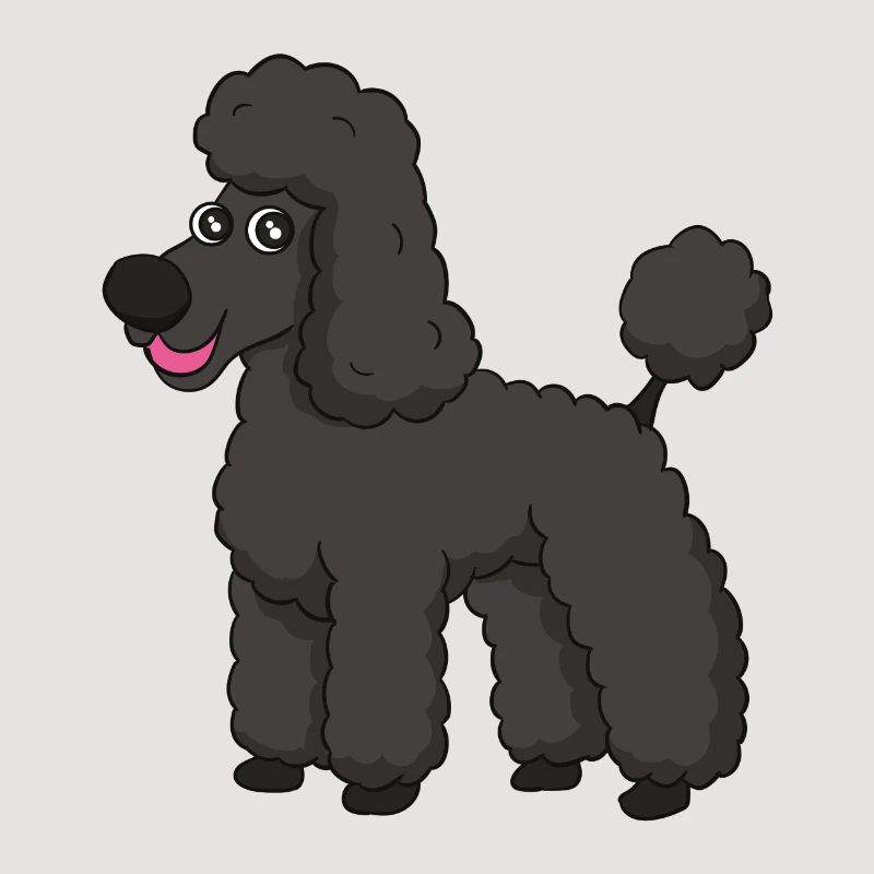 caniche doux