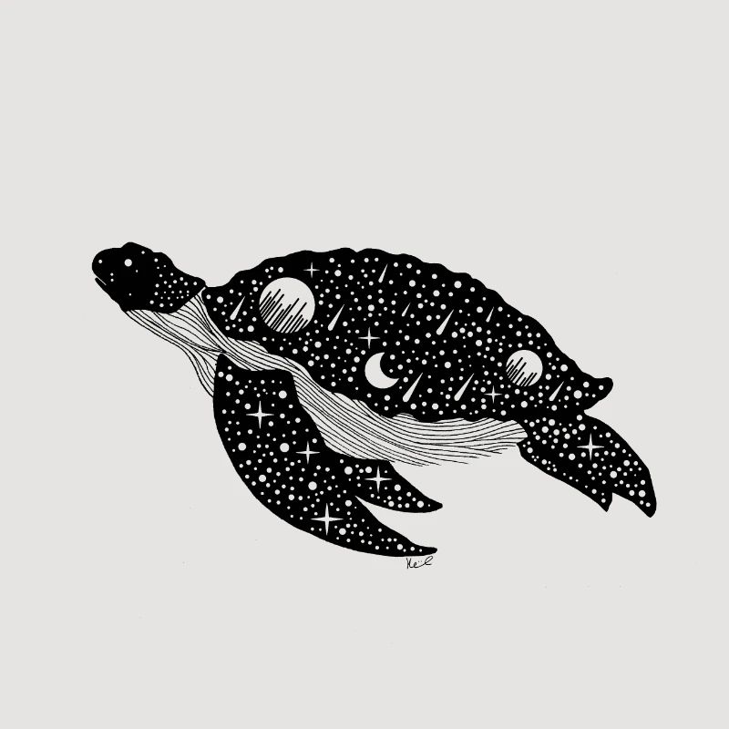 Night Silhouette Turtle