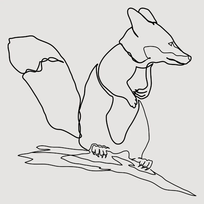 Fox Squirrel Squirrel Fox