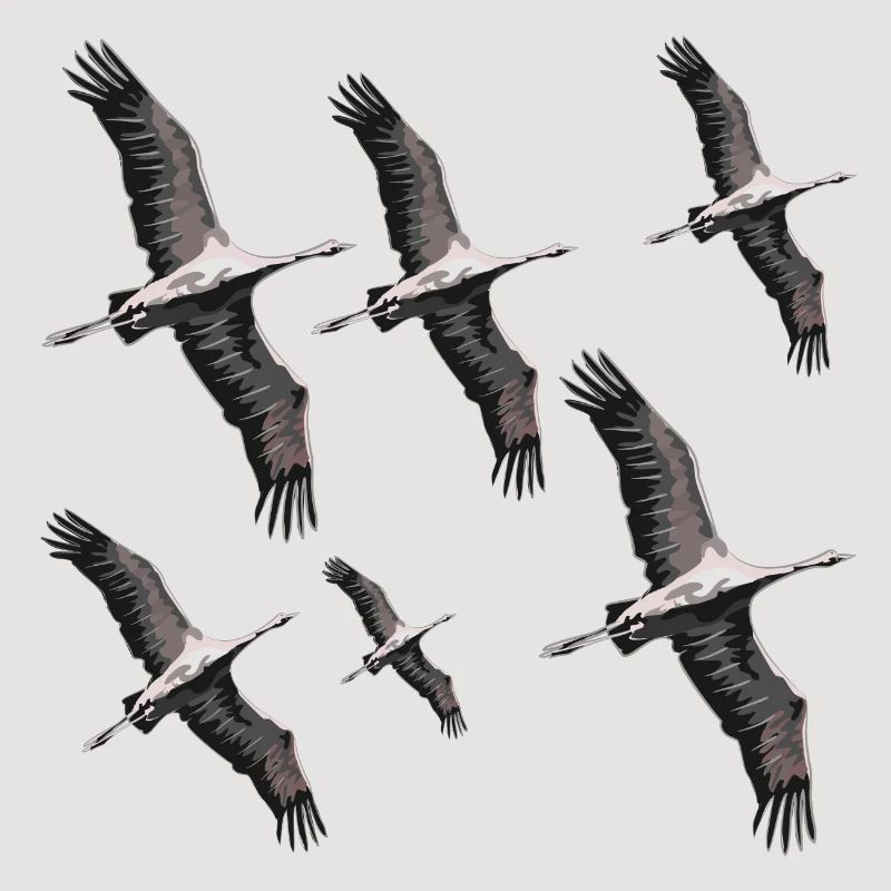 Grues migratrices d’oiseaux