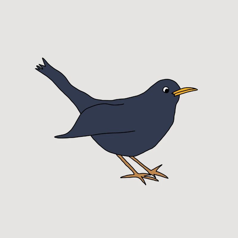 Amsel *** blanko