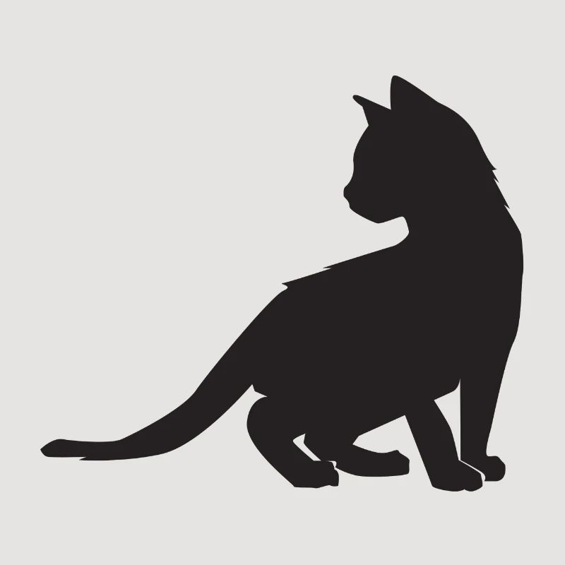 Conception de chaton
