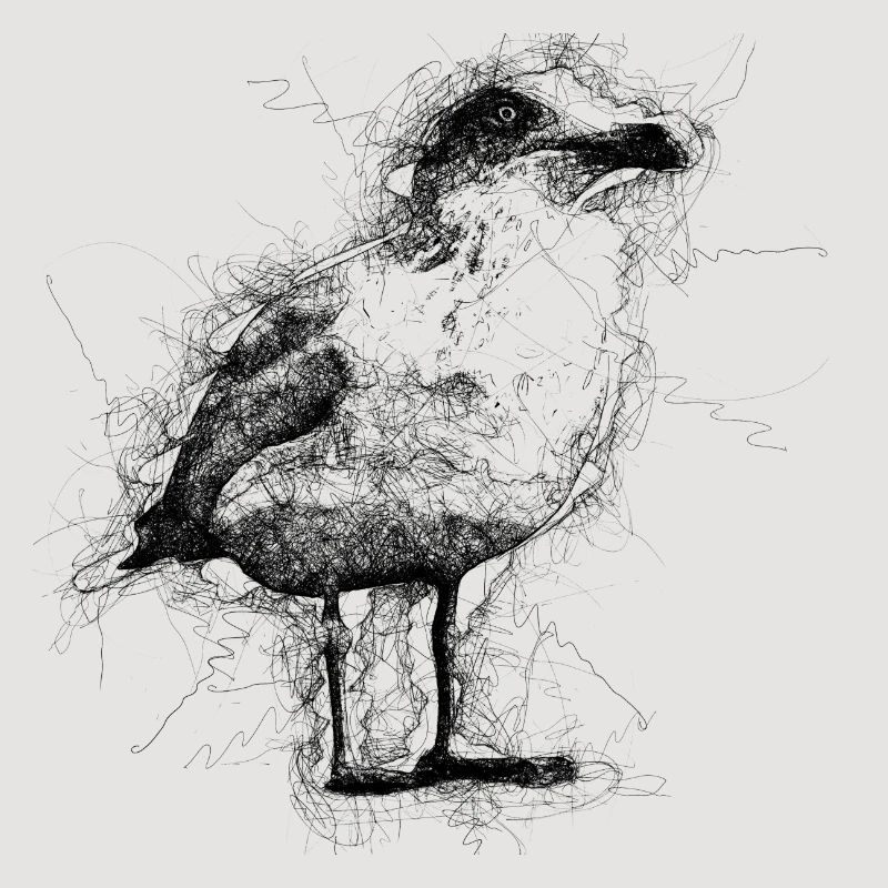 Möwe