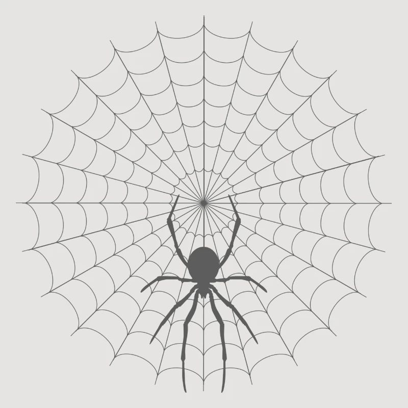 Spider Web Silhouette