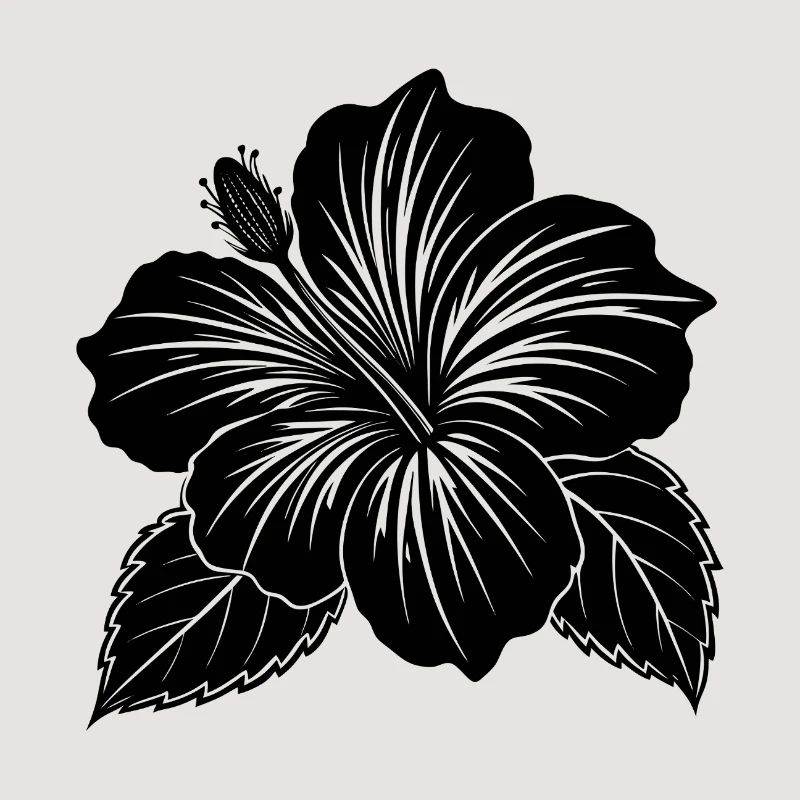 Fleur d’hibiscus