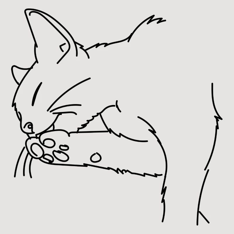 Chat