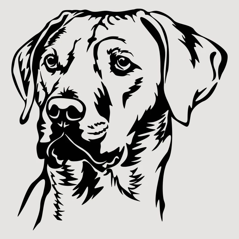 Rhodesian Ridgeback Kopf