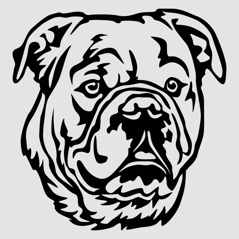 Tête de bouledogue continental