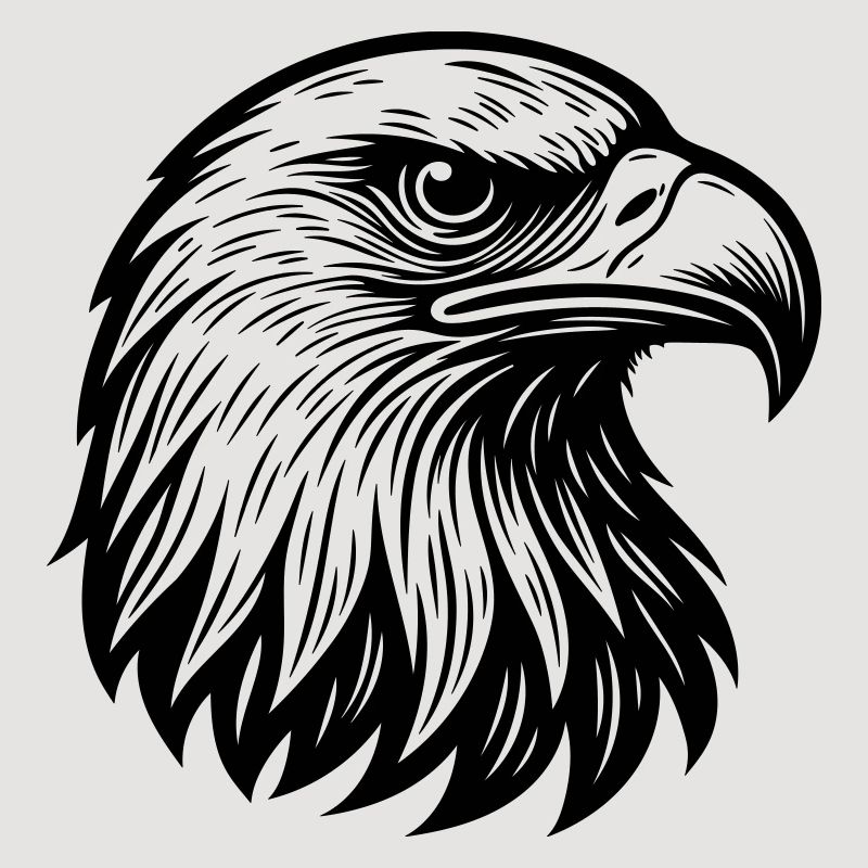 Aigle Tête d’aigle majestueuse