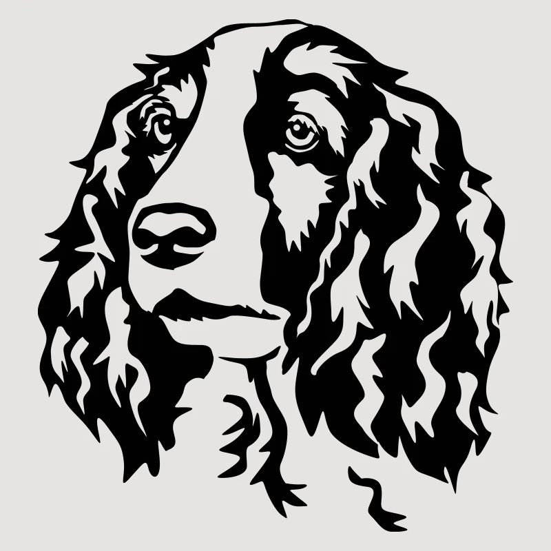 Welsh Springer Spaniel head
