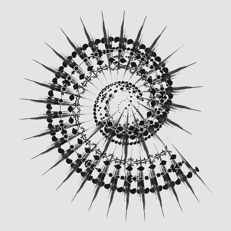 Shell shape snail in black and white